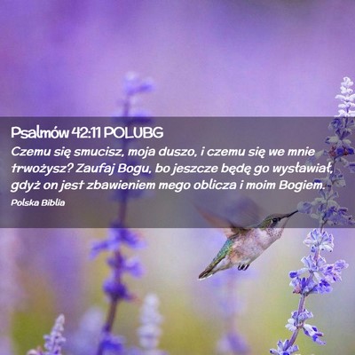 Picture 02 - Psalmów 42:11 POLUBG - Czemu się smucisz, moja duszo, i czemu się we - Bible Verse Picture