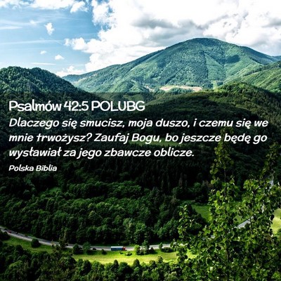 Picture 02 - Psalmów 42:5 POLUBG - Dlaczego się smucisz, moja duszo, i czemu się - Bible Verse Picture