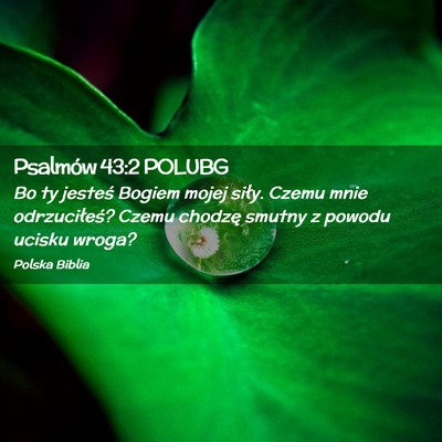 Picture 02 - Psalmów 43:2 POLUBG - Bo ty jesteś Bogiem mojej siły. Czemu mnie - Bible Verse Picture
