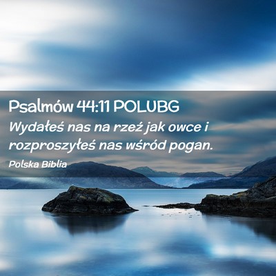 Picture 02 - Psalmów 44:11 POLUBG - Wydałeś nas na rzeź jak owce i rozproszyłeś - Bible Verse Picture