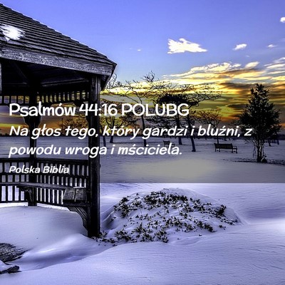 Picture 02 - Psalmów 44:16 POLUBG - Na głos tego, który gardzi i bluźni, z powodu - Bible Verse Picture