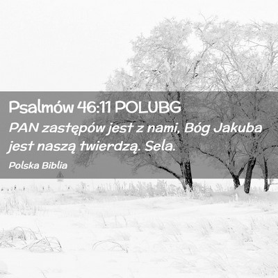 Picture 02 - Psalmów 46:11 POLUBG - PAN zastępów jest z nami, Bóg Jakuba jest - Bible Verse Picture