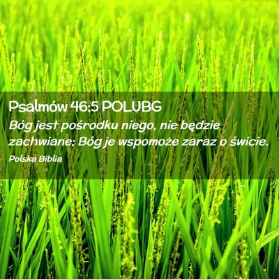 Picture 02 - Psalmów 46:5 POLUBG - Bóg jest pośrodku niego, nie będzie zachwiane; - Bible Verse Picture