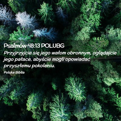 Picture 02 - Psalmów 48:13 POLUBG - Przyjrzyjcie się jego wałom obronnym, - Bible Verse Picture