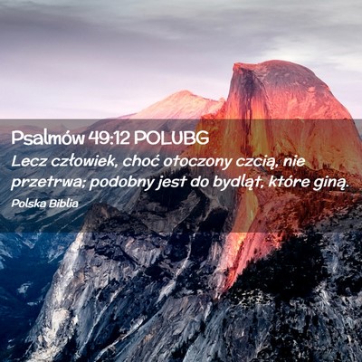 Picture 02 - Psalmów 49:12 POLUBG - Lecz człowiek, choć otoczony czcią, nie - Bible Verse Picture