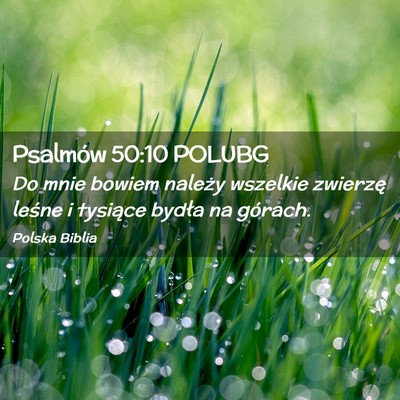 Picture 02 - Psalmów 50:10 POLUBG - Do mnie bowiem należy wszelkie zwierzę leśne i - Bible Verse Picture