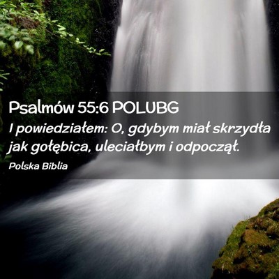 Picture 02 - Psalmów 55:6 POLUBG - I powiedziałem: O, gdybym miał skrzydła jak - Bible Verse Picture