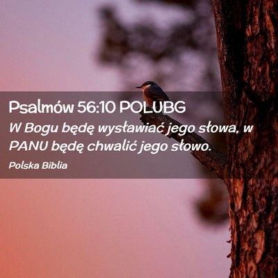 Picture 02 - Psalmów 56:10 POLUBG - W Bogu będę wysławiać jego słowa, w PANU - Bible Verse Picture