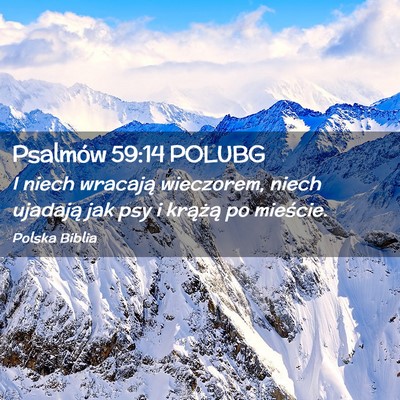 Picture 02 - Psalmów 59:14 POLUBG - I niech wracają wieczorem, niech ujadają jak - Bible Verse Picture