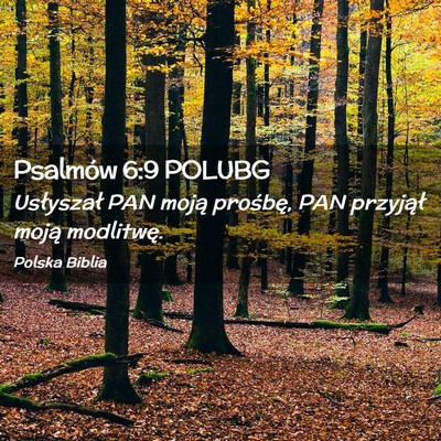 Picture 02 - Psalmów 6:9 POLUBG - Usłyszał PAN moją prośbę, PAN przyjął - Bible Verse Picture