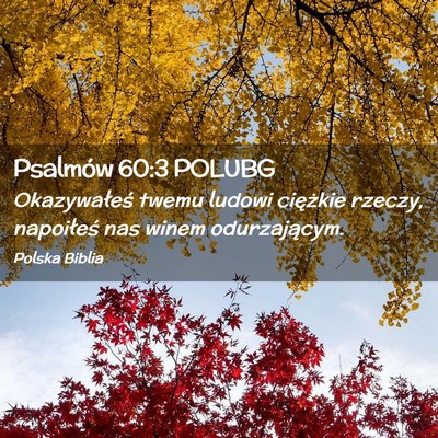 Picture 02 - Psalmów 60:3 POLUBG - Okazywałeś twemu ludowi ciężkie rzeczy, - Bible Verse Picture