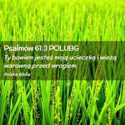 Picture 02 - Psalmów 61:3 POLUBG - Ty bowiem jesteś moją ucieczką i wieżą - Bible Verse Picture