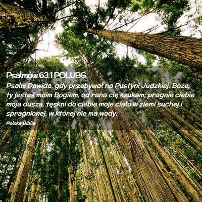 Picture 02 - Psalmów 63:1 POLUBG - Psalm Dawida, gdy przebywał na Pustyni Judzkiej. - Bible Verse Picture