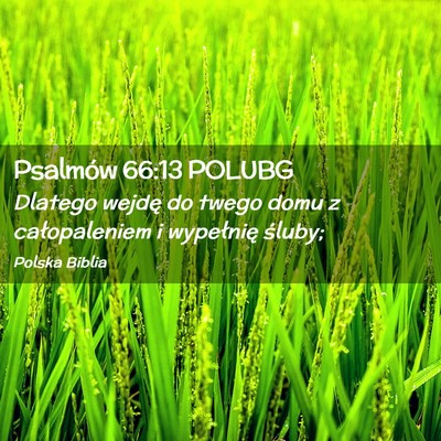 Picture 02 - Psalmów 66:13 POLUBG - Dlatego wejdę do twego domu z całopaleniem i - Bible Verse Picture