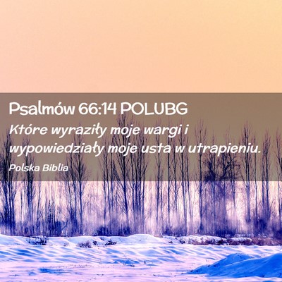 Picture 02 - Psalmów 66:14 POLUBG - Które wyraziły moje wargi i wypowiedziały moje - Bible Verse Picture