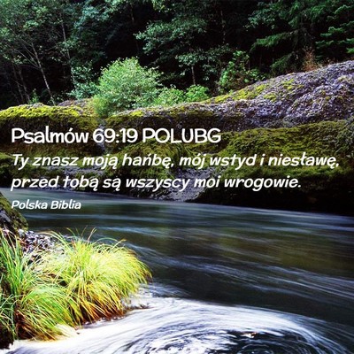 Picture 02 - Psalmów 69:19 POLUBG - Ty znasz moją hańbę, mój wstyd i niesławę, - Bible Verse Picture