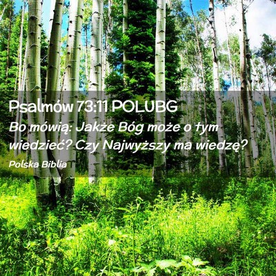 Picture 02 - Psalmów 73:11 POLUBG - Bo mówią: Jakże Bóg może o tym wiedzieć? - Bible Verse Picture