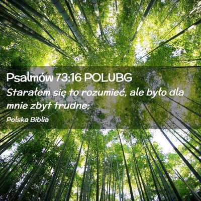 Picture 02 - Psalmów 73:16 POLUBG - Starałem się to rozumieć, ale było dla mnie - Bible Verse Picture