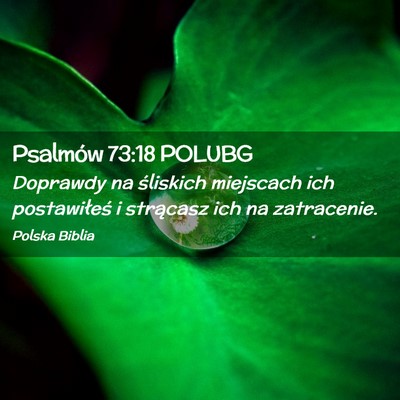 Picture 02 - Psalmów 73:18 POLUBG - Doprawdy na śliskich miejscach ich postawiłeś - Bible Verse Picture