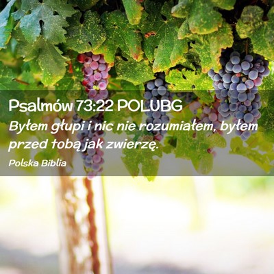 Picture 02 - Psalmów 73:22 POLUBG - Byłem głupi i nic nie rozumiałem, byłem przed - Bible Verse Picture
