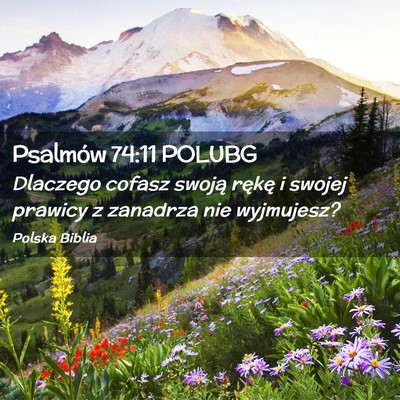 Picture 02 - Psalmów 74:11 POLUBG - Dlaczego cofasz swoją rękę i swojej prawicy z - Bible Verse Picture