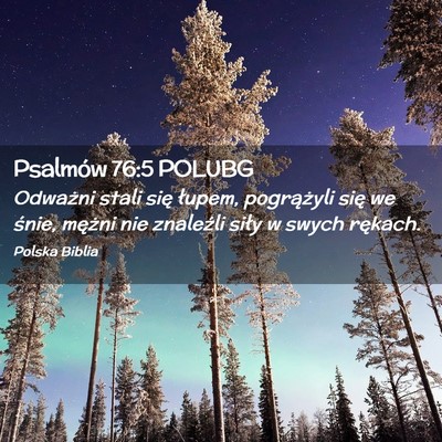Picture 02 - Psalmów 76:5 POLUBG - Odważni stali się łupem, pogrążyli się we - Bible Verse Picture