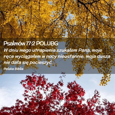 Picture 02 - Psalmów 77:2 POLUBG - W dniu mego utrapienia szukałem Pana, moje ręce - Bible Verse Picture