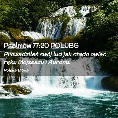 Picture 02 - Psalmów 77:20 POLUBG - Prowadziłeś swój lud jak stado owiec ręką - Bible Verse Picture