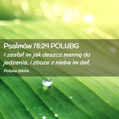 Picture 02 - Psalmów 78:24 POLUBG - I zesłał im jak deszcz mannę do jedzenia, i - Bible Verse Picture