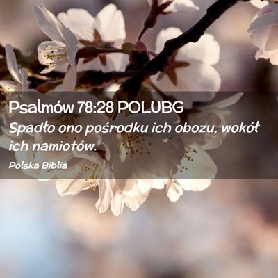 Picture 02 - Psalmów 78:28 POLUBG - Spadło ono pośrodku ich obozu, wokół ich - Bible Verse Picture