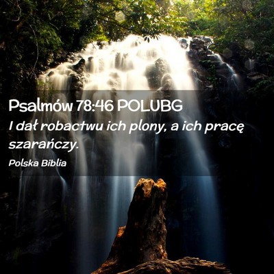 Picture 02 - Psalmów 78:46 POLUBG - I dał robactwu ich plony, a ich pracę - Bible Verse Picture