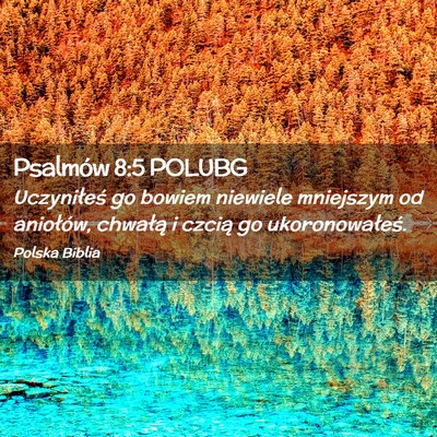 Picture 02 - Psalmów 8:5 POLUBG - Uczyniłeś go bowiem niewiele mniejszym od - Bible Verse Picture