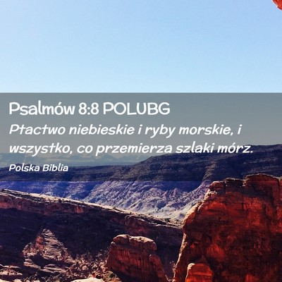 Picture 02 - Psalmów 8:8 POLUBG - Ptactwo niebieskie i ryby morskie, i wszystko, co - Bible Verse Picture