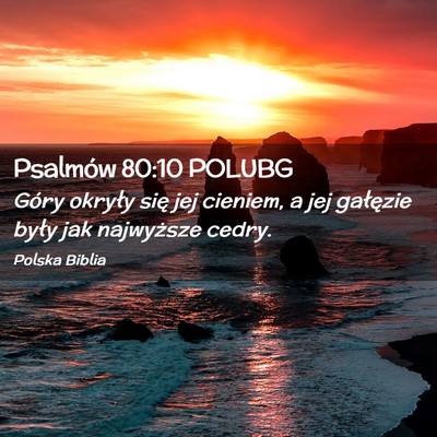 Picture 02 - Psalmów 80:10 POLUBG - Góry okryły się jej cieniem, a jej gałęzie - Bible Verse Picture