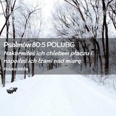 Picture 02 - Psalmów 80:5 POLUBG - Nakarmiłeś ich chlebem płaczu i napoiłeś ich - Bible Verse Picture