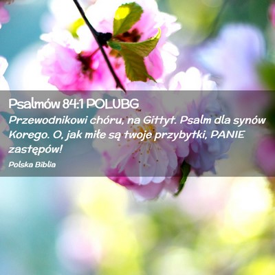 Picture 02 - Psalmów 84:1 POLUBG - Przewodnikowi chóru, na Gittyt. Psalm dla synów - Bible Verse Picture