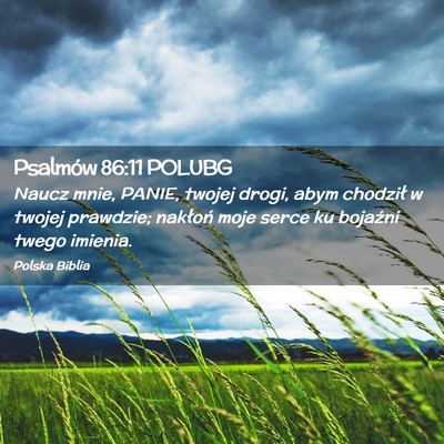 Picture 02 - Psalmów 86:11 POLUBG - Naucz mnie, PANIE, twojej drogi, abym chodził w - Bible Verse Picture