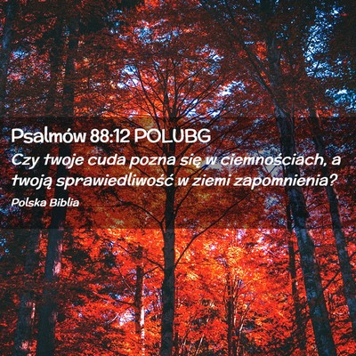 Picture 02 - Psalmów 88:12 POLUBG - Czy twoje cuda pozna się w ciemnościach, a - Bible Verse Picture