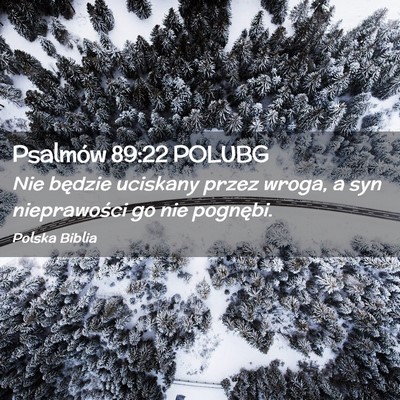 Picture 02 - Psalmów 89:22 POLUBG - Nie będzie uciskany przez wroga, a syn - Bible Verse Picture