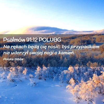 Picture 02 - Psalmów 91:12 POLUBG - Na rękach będą cię nosić, byś przypadkiem - Bible Verse Picture