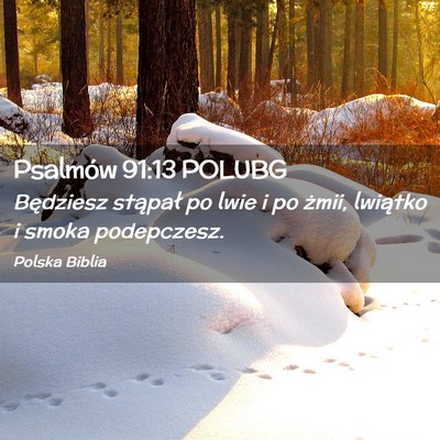Picture 02 - Psalmów 91:13 POLUBG - Będziesz stąpał po lwie i po żmii, lwiątko i - Bible Verse Picture