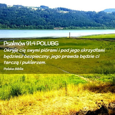 Picture 02 - Psalmów 91:4 POLUBG - Okryje cię swymi piórami i pod jego skrzydłami - Bible Verse Picture