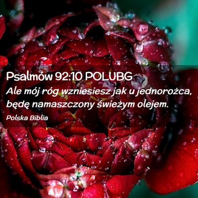 Picture 02 - Psalmów 92:10 POLUBG - Ale mój róg wzniesiesz jak u jednorożca, - Bible Verse Picture