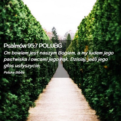 Picture 02 - Psalmów 95:7 POLUBG - On bowiem jest naszym Bogiem, a my ludem jego - Bible Verse Picture