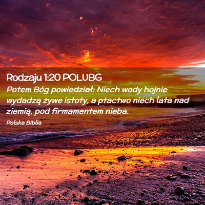 Picture 02 - Rodzaju 1:20 POLUBG - Potem Bóg powiedział: Niech wody hojnie - Bible Verse Picture