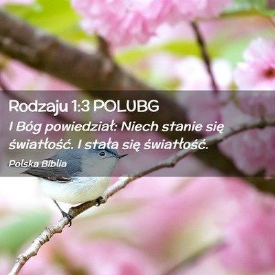 Picture 02 - Rodzaju 1:3 POLUBG - I Bóg powiedział: Niech stanie się - Bible Verse Picture