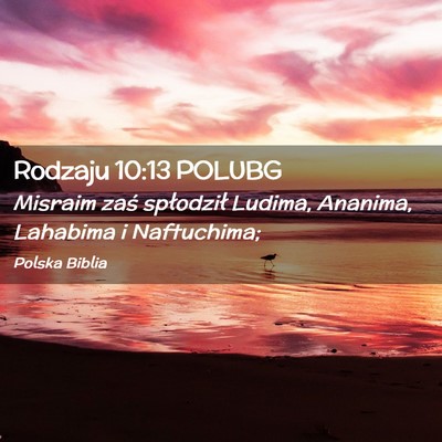 Picture 02 - Rodzaju 10:13 POLUBG - Misraim zaś spłodził Ludima, Ananima, Lahabima - Bible Verse Picture