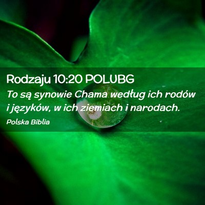 Picture 02 - Rodzaju 10:20 POLUBG - To są synowie Chama według ich rodów i - Bible Verse Picture