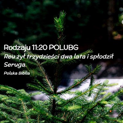 Picture 02 - Rodzaju 11:20 POLUBG - Reu żył trzydzieści dwa lata i spłodził - Bible Verse Picture