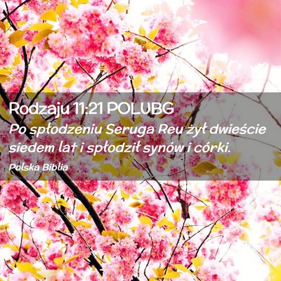 Picture 02 - Rodzaju 11:21 POLUBG - Po spłodzeniu Seruga Reu żył dwieście siedem - Bible Verse Picture